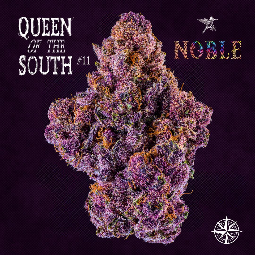 Queen of the South #11 - 7g Flower