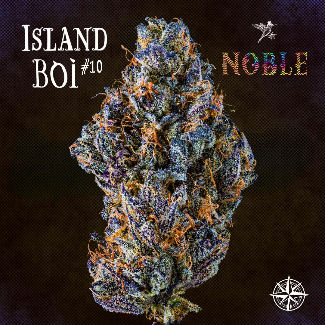 Island BOI #10 - 7g Flower