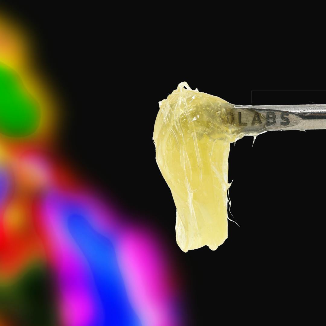 Papaya | 1g Persy Rosin