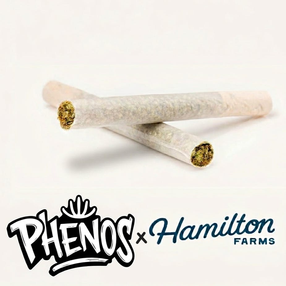 Panama Red x Y2K #8 - 1g 2pk Pre Rolls