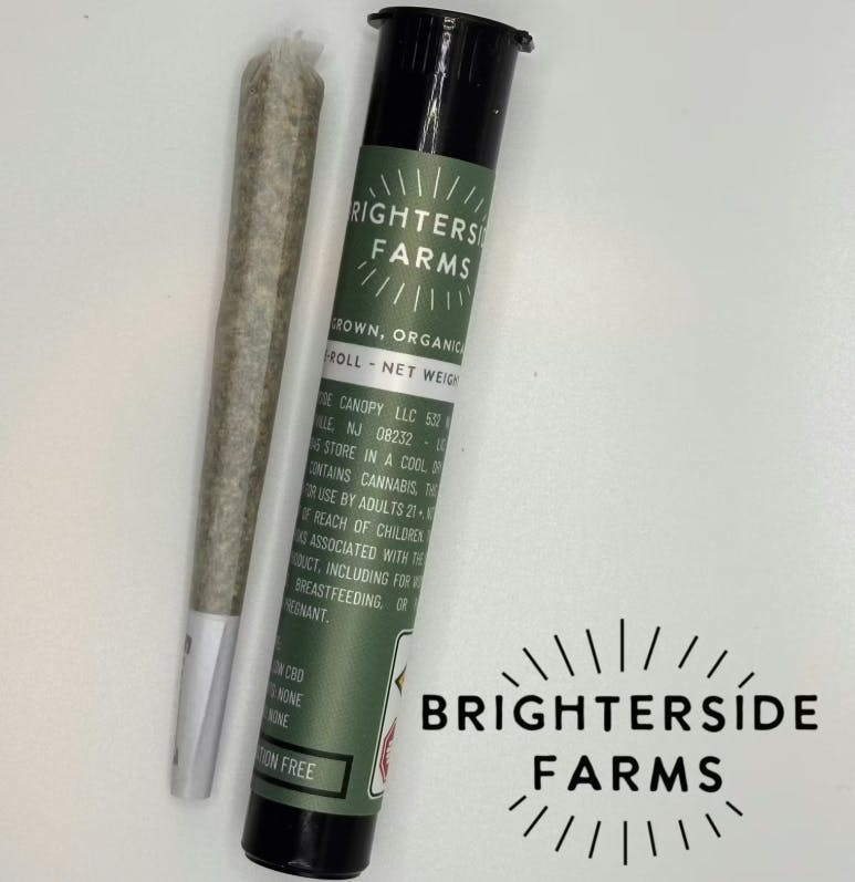 Dark Rainbow - 1g Pre Roll