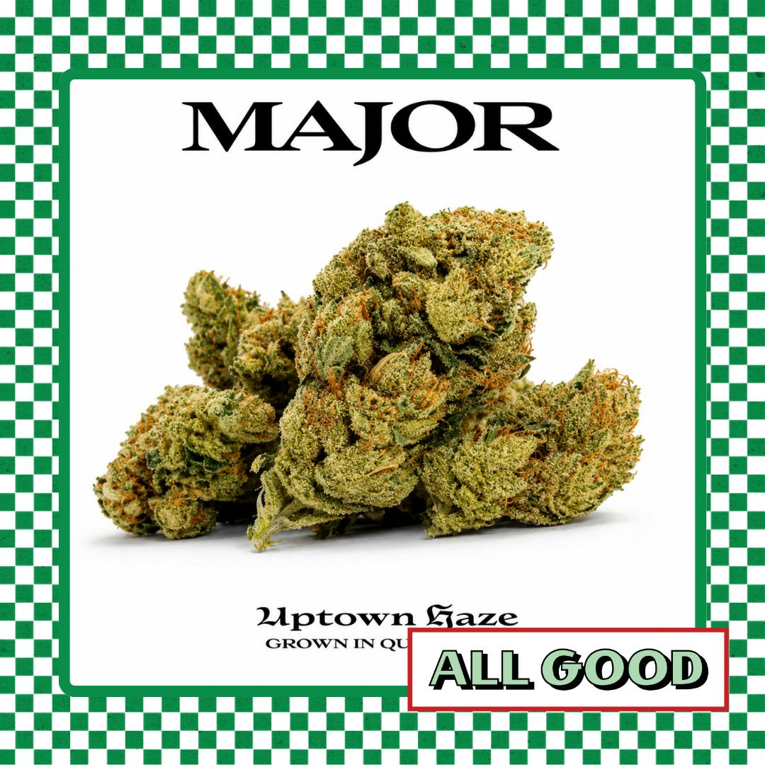 Major | Uptown Haze | Flower | Sativa | 3.5g