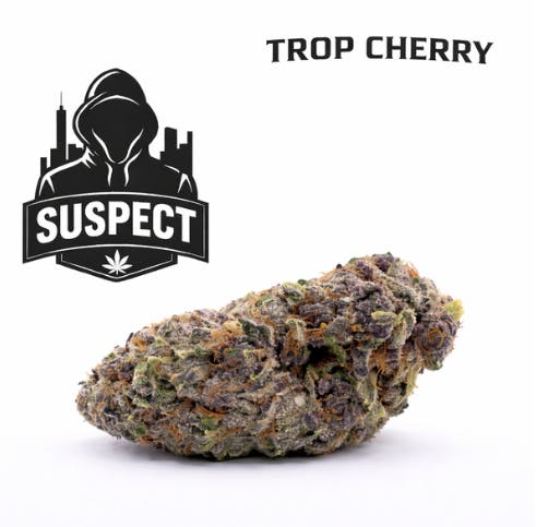 Suspect | Trop Cherry | Flower | Sativa | 2g