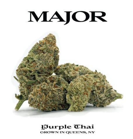 Major | Purple Thai | Flower | SatHyb | 3.5g