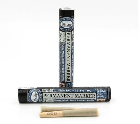 Slack Hollow | Permanent Marker | 2pk Preroll | Indica | 1g