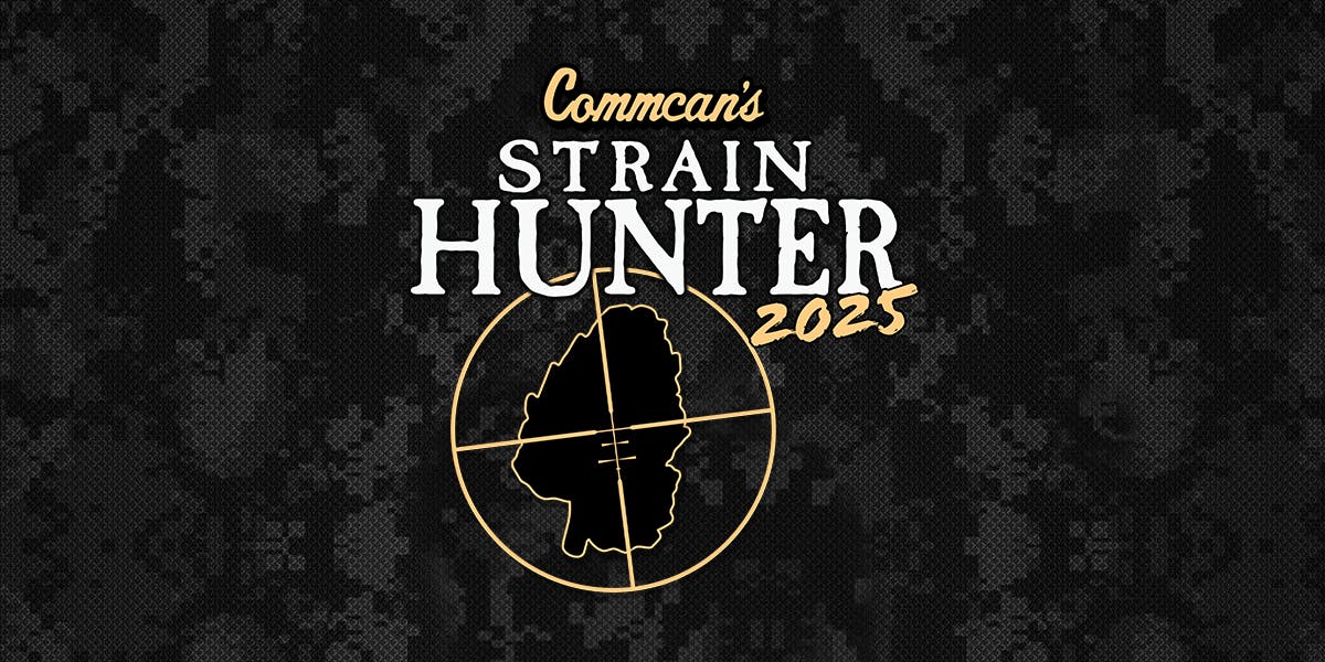 CommCan Strain Hunter 🤠🎯