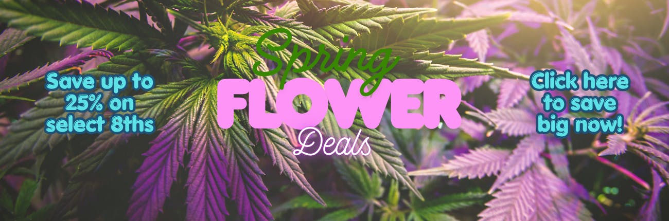Spring Flower deals