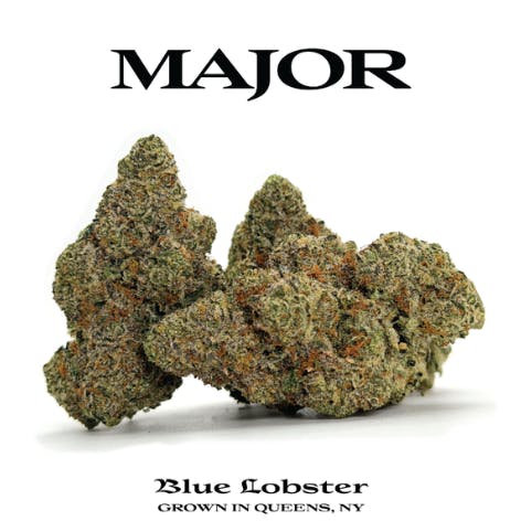 Major | Blue Lobster | Flower | IndHyb | 3.5g