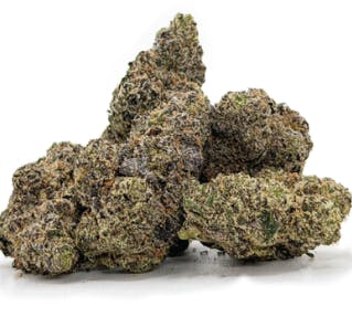 Major | M.O.B | Flower | Indica | 3.5g
