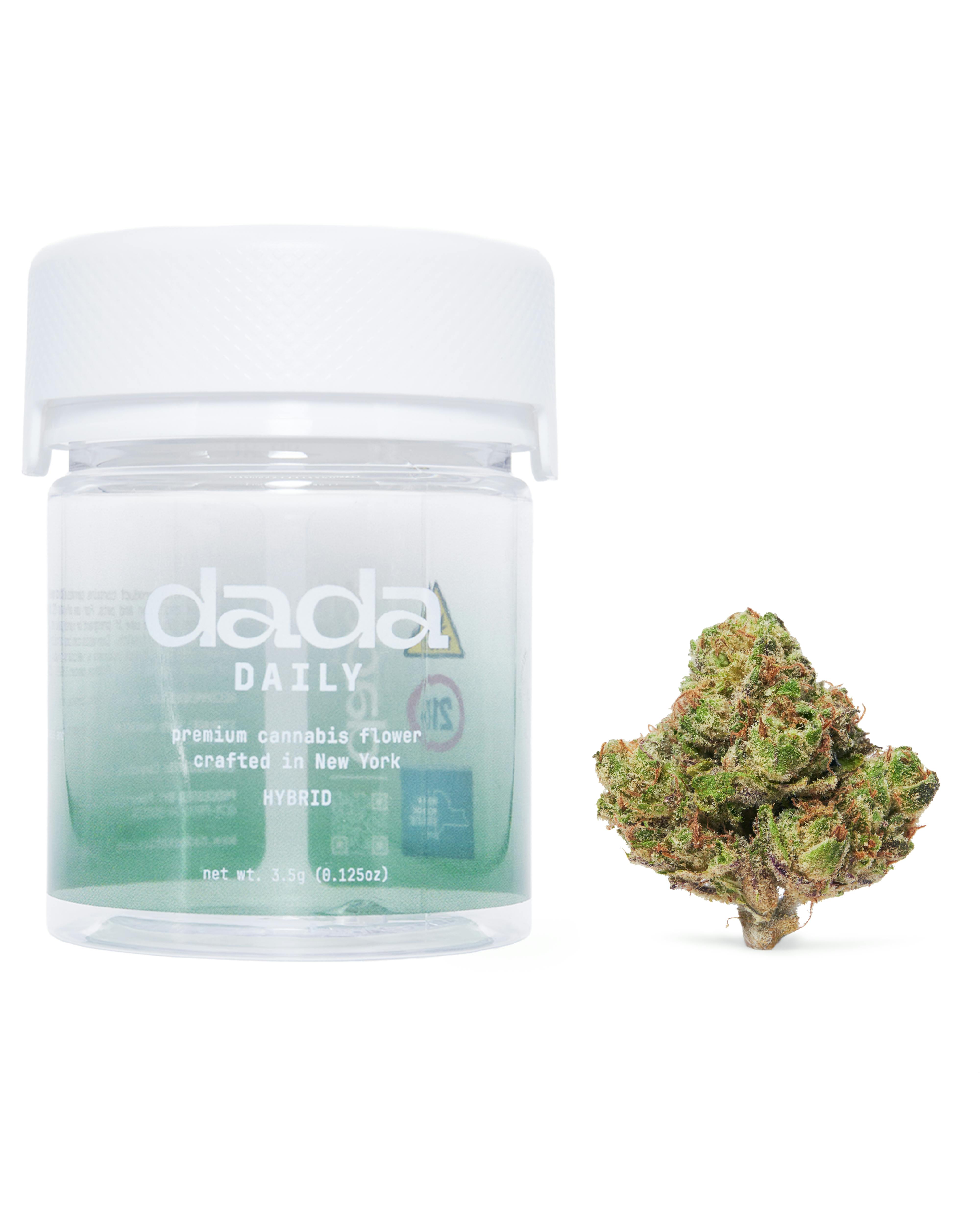 Dada Daily | Blu Nerdz | Hybrid | 3.5g
