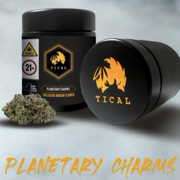 20% TICAL