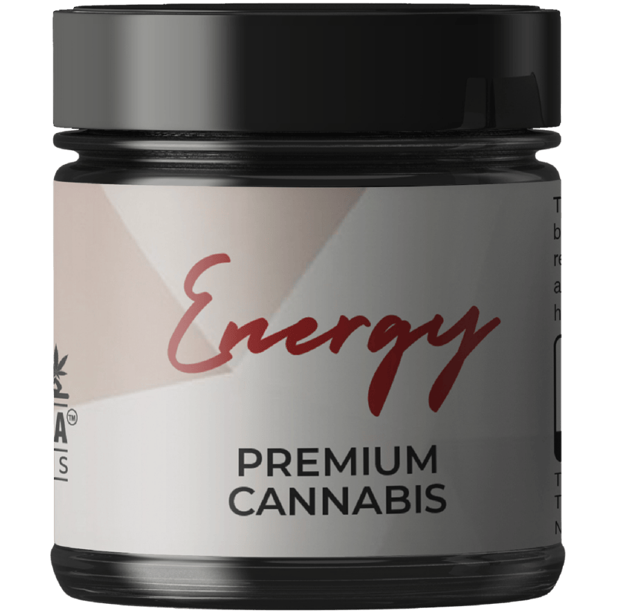 Energy Shes Zesty