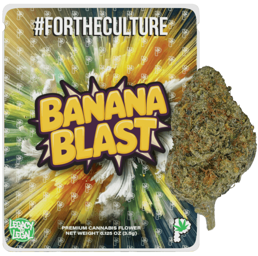 PROLIFIC GROWHOUSE | BANANA BLAST FLOWER - 3.