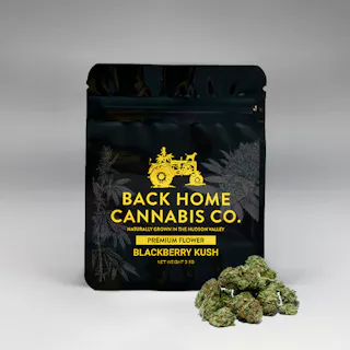 Back Home Cannabis Co - Gorilla Glue - 3.5g