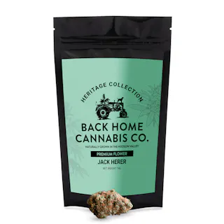 Back Home Cannabis Co - Jack Herer - 14g