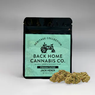 Back Home Cannabis Co - Jack Herer - 3.5g