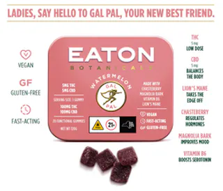 Eaton Botanicals - Watermelon Gal Pal - 1:1 THC:CBD - 20pk - 100mg