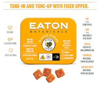 Eaton Botanicals - Mango Ginger Fixer Upper - 1:1 THC:CBD - 20pk - 100mg