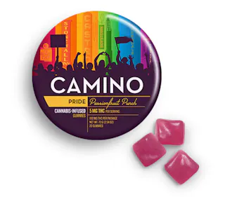 Camino - Passionfruit Punch (Pride) - 20pk - 100mg
