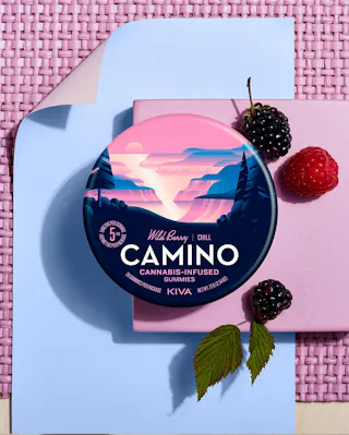 Camino - Wild Berry (Chill) - 20pk - 100mg