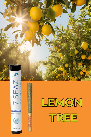 7Seaz - Mini Tsunami - Lemon Tree (Indoor) - Infused - .6g