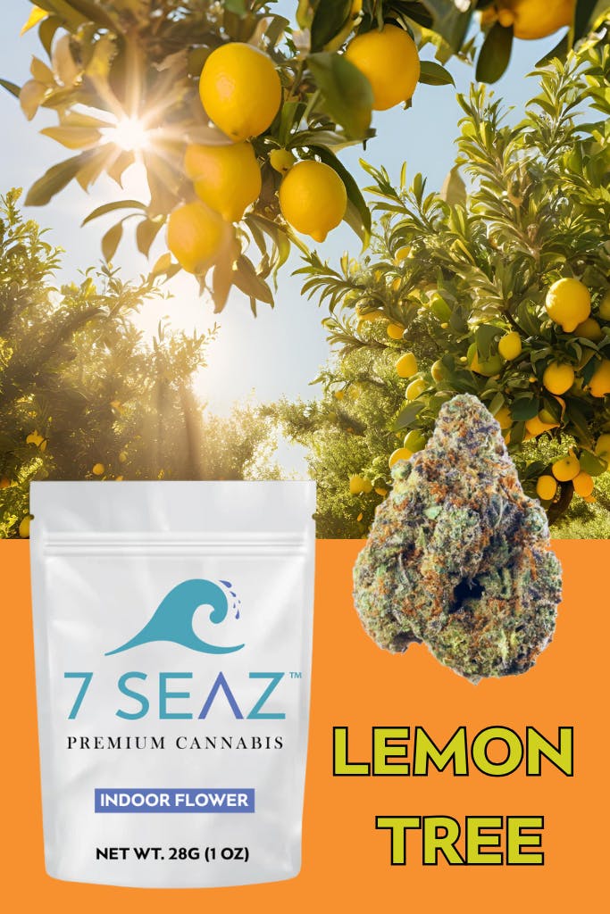 cab191eae737f02f_1752087706884