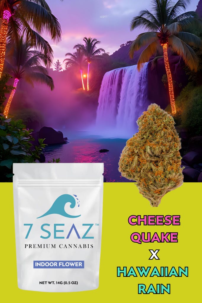 7Seaz - Cheese Quake X Hawaiian Rain (Indoor) - 14G - 14g by 7Seaz