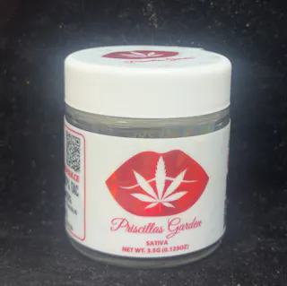 Priscilla's Garden - Frosted Dulce (Indoor) - 3.5g
