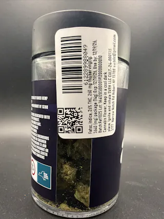 Aster - Fatso - 14g