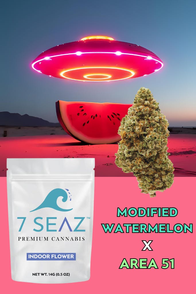 7Seaz – Modified Watermelon x Area 51 (Indoor) – 14g - 14g by