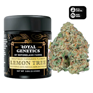 Royal Genetics - Lemon Tree (Indoor) - 3.5g