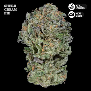 Royal Genetics - Sherb Cream Pie (Indoor) - 3.5g