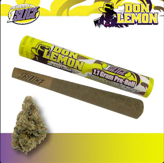 1Slice - Don Lemon (Indoor) - 1.1G