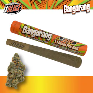 1Slice - Bangarang (Indoor) - 1.1G