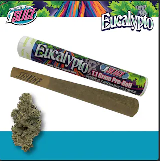 1Slice - Eucalypto (Indoor) - 1.1G