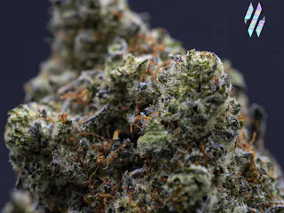 Milkweed - Permanent Chimera (Indoor Hydroponics) - 3.5g