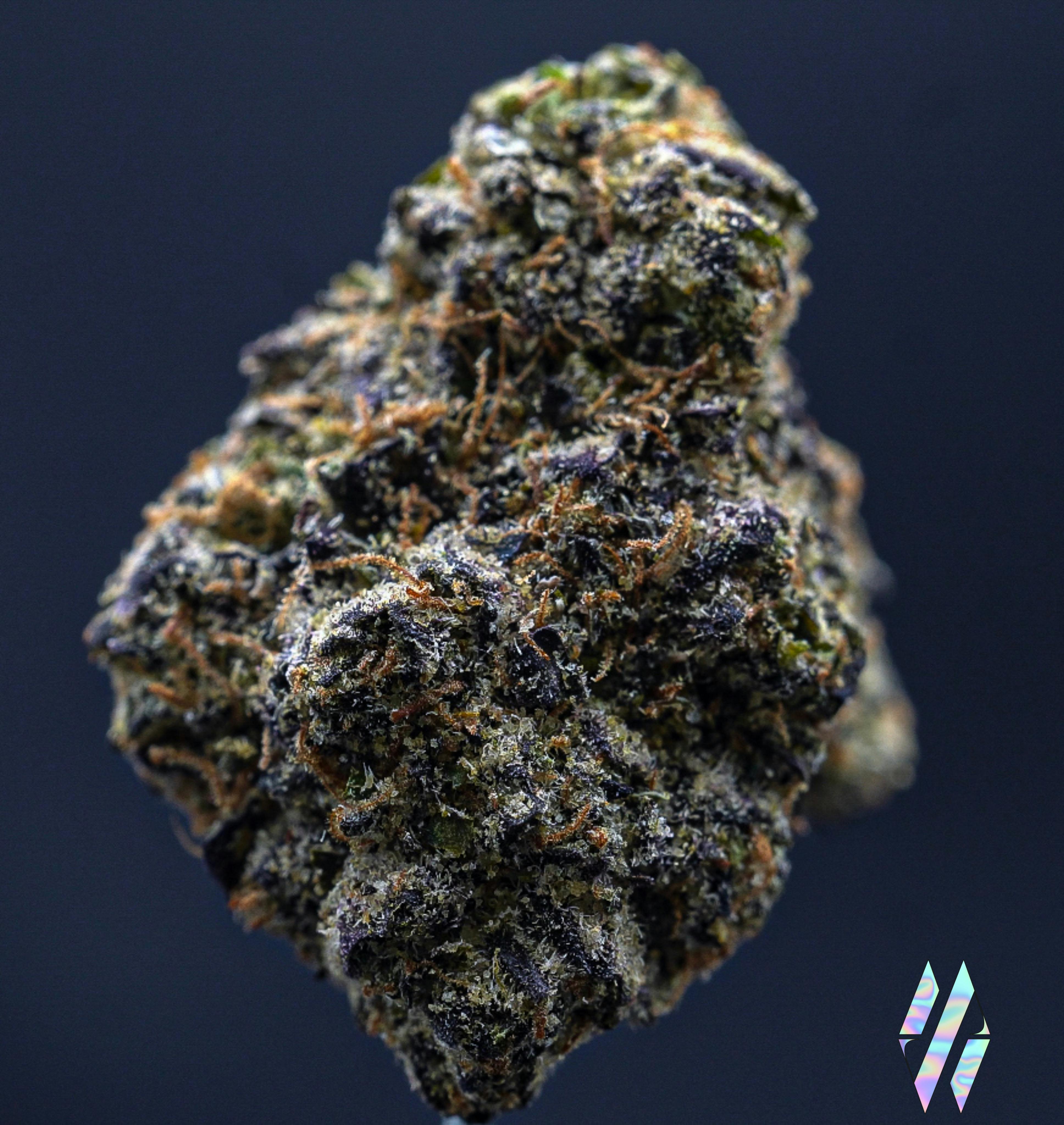 Milkweed - Lemon Cherry Gelato (Indoor Hydroponics) - 3.5g - 3.5g