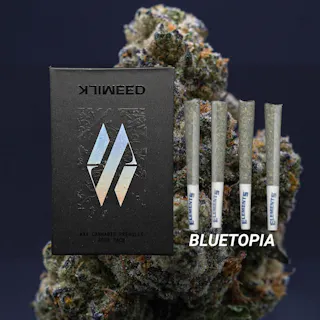 Milkweed - Bluetopia (Indoor Hydroponics) - 4pk - .75g