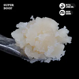 Royal Genetics - Superboof - Rosin - 1g