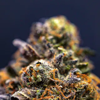 Milkweed - Sour Sherbanger (Indoor Hydroponics) - 3.5g