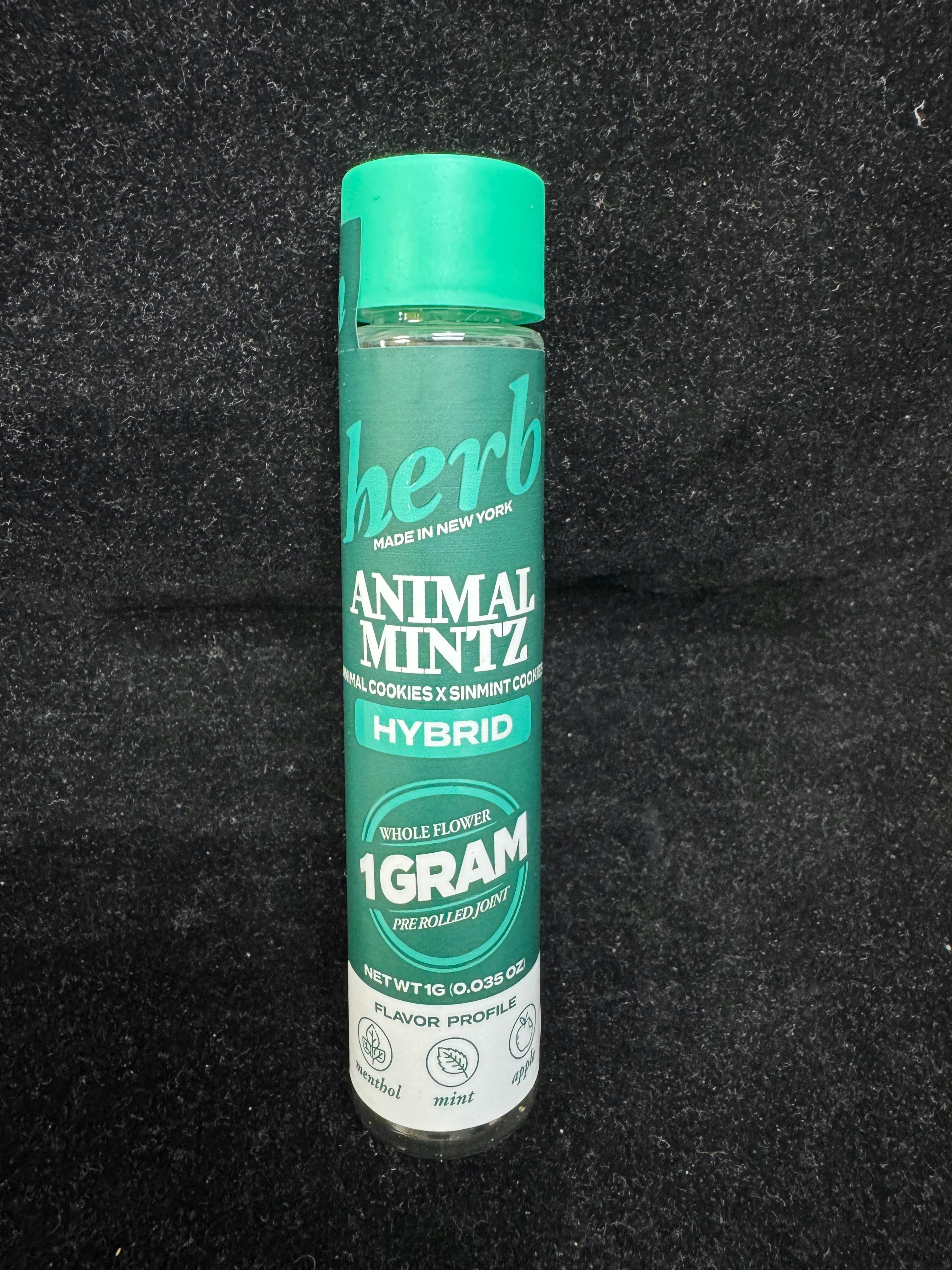Herb - Animal Mintz - 1g - 1g by Herb | Buy Online White Plains NY