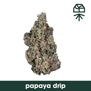 Grassroots - Papaya Drip - (Indoor) - 28g