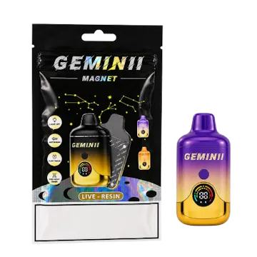 Gemini
