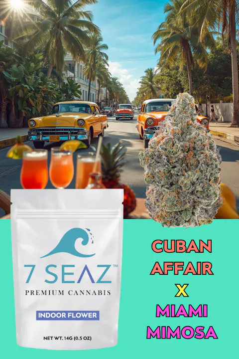 7Seaz - Cuban Affair x Miami Mimosa (Indoor) - 14g