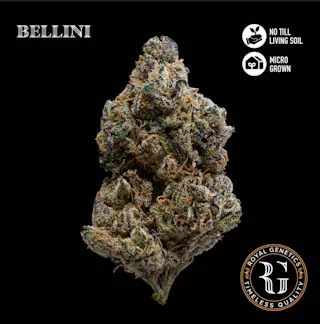 Royal Genetics - Bellini (Indoor) - 3.5g