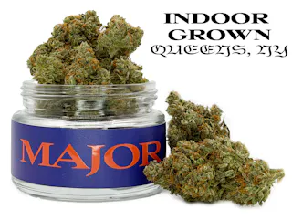Major - Pinyatti (Indoor) - 3.5g