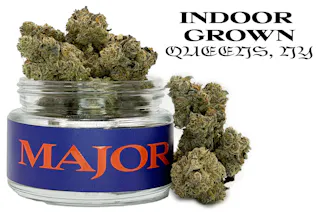 Major - Applescotti (Indoor) - 3.5g