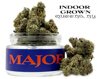 Major - The Rotten Apple (Indoor) - 3.5g