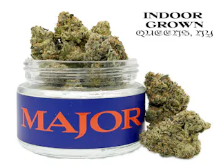 Major - Blueberry Thinmint (Indoor) - 3.5g