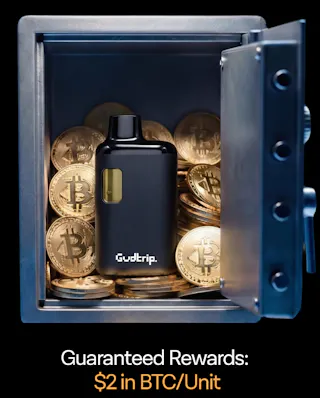 Gudtrip - Apple Fritter Currency - Live Resin Disposable Vape - 1g